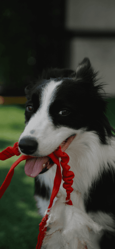 Curated care resources that support your wellness goals